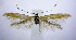  ( - jflandry0792)  @13 [ ] Copyright (2007) Unspecified Canadian National Collection
