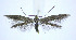  ( - jflandry0001)  @14 [ ] Copyright (2007) Unspecified Canadian National Collection
