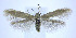  ( - jflandry0003)  @14 [ ] Copyright (2007) Unspecified Canadian National Collection