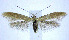 ( - jflandry0004)  @14 [ ] Copyright (2007) Unspecified Canadian National Collection