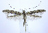  ( - jflandry0007)  @14 [ ] Copyright (2007) Unspecified Canadian National Collection