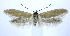  ( - jflandry0008)  @14 [ ] Copyright (2007) Unspecified Canadian National Collection