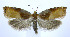  ( - jflandry0012)  @15 [ ] Copyright (2007) Unspecified Canadian National Collection