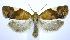  ( - jflandry0018)  @14 [ ] Copyright (2007) Unspecified Canadian National Collection