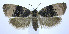  ( - jflandry0019)  @13 [ ] Copyright (2007) Unspecified Canadian National Collection