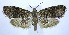  ( - jflandry0030)  @14 [ ] Copyright (2007) Unspecified Canadian National Collection