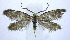  ( - jflandry0031)  @14 [ ] Copyright (2007) Unspecified Canadian National Collection