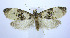  ( - jflandry0050)  @13 [ ] CreativeCommons - Attribution (2010) Unspecified Centre for Biodiversity Genomics