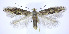  ( - jflandry0194)  @14 [ ] Copyright (2007) Unspecified Canadian National Collection