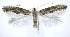  ( - jflandry0195)  @13 [ ] Copyright (2007) Unspecified Canadian National Collection