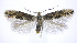  ( - jflandry0196)  @14 [ ] Copyright (2007) Unspecified Canadian National Collection