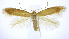  ( - jflandry0210)  @13 [ ] Copyright (2007) Unspecified Canadian National Collection