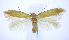  ( - jflandry0211)  @14 [ ] Copyright (2007) Unspecified Canadian National Collection