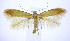  ( - jflandry0212)  @14 [ ] Copyright (2007) Unspecified Canadian National Collection