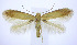  ( - jflandry0213)  @14 [ ] Copyright (2007) Unspecified Canadian National Collection