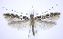  ( - jflandry0074)  @14 [ ] Copyright (2007) Unspecified Canadian National Collection