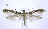  ( - jflandry0075)  @14 [ ] Copyright (2007) Unspecified Canadian National Collection