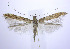  ( - jflandry0206)  @14 [ ] Copyright (2007) Unspecified Canadian National Collection