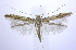  ( - jflandry0207)  @14 [ ] Copyright (2007) Unspecified Canadian National Collection