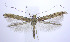  ( - jflandry0208)  @13 [ ] Copyright (2007) Unspecified Canadian National Collection