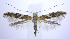  ( - jflandry0215)  @14 [ ] Copyright (2007) Unspecified Canadian National Collection