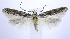  ( - jflandry0066)  @14 [ ] CreativeCommons - Attribution (2010) Unspecified Centre for Biodiversity Genomics