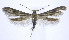  ( - jflandry0081)  @14 [ ] Copyright (2007) Unspecified Canadian National Collection