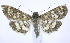  ( - jflandry0143)  @13 [ ] Copyright (2007) Unspecified Canadian National Collection