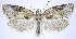  ( - jflandry0289)  @14 [ ] Copyright (2007) Unspecified Canadian National Collection
