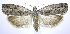  ( - jflandry0306)  @14 [ ] Copyright (2007) Unspecified Canadian National Collection
