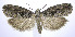  ( - jflandry0098)  @14 [ ] Copyright (2007) Unspecified Canadian National Collection