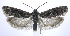  ( - jflandry0053)  @14 [ ] Copyright (2007) Unspecified Canadian National Collection