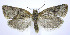  ( - jflandry0082)  @14 [ ] Copyright (2007) Unspecified Canadian National Collection