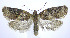  ( - jflandry0083)  @14 [ ] Copyright (2007) Unspecified Canadian National Collection