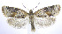  ( - jflandry0084)  @14 [ ] Copyright (2007) Unspecified Canadian National Collection