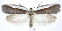  ( - jflandry0153)  @13 [ ] Copyright (2007) Unspecified Canadian National Collection