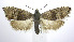  ( - jflandry0256)  @14 [ ] Copyright (2007) Unspecified Canadian National Collection