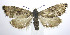  ( - jflandry0257)  @12 [ ] Copyright (2007) Unspecified Canadian National Collection