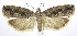  ( - jflandry0097)  @14 [ ] Copyright (2007) Unspecified Canadian National Collection