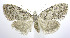  ( - jflandry0280)  @13 [ ] Copyright (2007) Unspecified Canadian National Collection