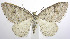  ( - jflandry0161)  @13 [ ] Copyright (2007) Unspecified Canadian National Collection