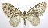  (Acasis - jflandry0300)  @15 [ ] CreativeCommons - Attribution (2010) Unspecified Centre for Biodiversity Genomics