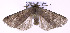 ( - jflandry0135)  @13 [ ] Copyright (2007) Unspecified Canadian National Collection