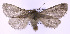  ( - jflandry0127)  @13 [ ] Copyright (2007) Unspecified Canadian National Collection