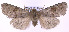  ( - jflandry0118)  @13 [ ] Copyright (2007) Unspecified Canadian National Collection