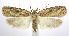  ( - jflandry0095)  @14 [ ] Copyright (2007) Unspecified Canadian National Collection