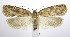  ( - jflandry0172)  @14 [ ] Copyright (2007) Unspecified Canadian National Collection