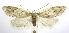  ( - jflandry0089)  @13 [ ] Copyright (2007) Unspecified Canadian National Collection