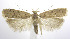  ( - jflandry0269)  @14 [ ] Copyright (2007) Unspecified Canadian National Collection