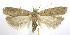  ( - jflandry0270)  @14 [ ] Copyright (2007) Unspecified Canadian National Collection